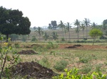 17546100_2807.JPG