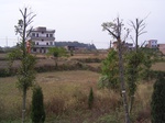 3198R0017232.JPG
