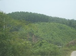 2012-09-08_19-26-21_RIMG0183.JPG