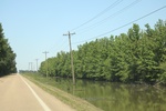 2022-05-26_12-49-35_E7134C82-07B1-44ED-BAD9-E90DA6CBDE45.jpeg