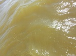 2012-09-21_14-26-09_CIMG0137.JPG