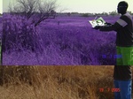 10989gt-199-wetland-perrinial-valley-bottom-02.jpg