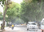 14511IMG_4870.JPG