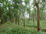 2012-09-26_20-48-43_CIMG1016.JPG