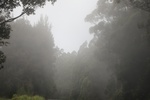 2018-07-06_16-09-38_2018-06-08 22.36.07.jpg