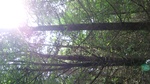 2016-07-27_09-26-04_DSCF1866.JPG