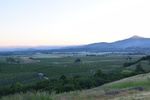 2017-06-01_14-17-52_Roxy Ann Peak & Pear Orchards at Sunrise, Rogue Valley, So. Oregon.jpg