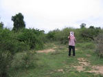 820605-shrubland-degradeda.jpg
