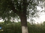 2017-09-10_06-58-07_3ABDE3C2-D710-4D01-9562-C97D6A27F885.jpg