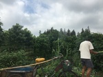 2017-09-12_12-55-41_9B7F2752-788D-4A1F-9F1E-6812BB5929D6.jpg