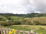 5515100_0882.JPG
