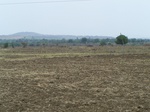 536602052008(43).JPG