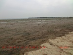 39106CIMG4812.gps.jpg