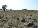19320P1010166.JPG