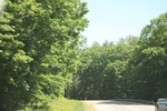2022-06-12_15-03-12_C4092DD9-391F-4FE3-903B-115E4DCCAF70.jpeg