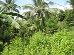 14184IMG_4522.JPG
