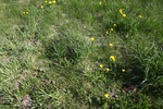 172IMG_4068.JPG