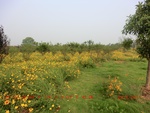 38894CIMG4433.gps.jpg