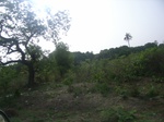 4047RIMG0351.JPG
