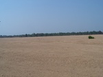 477501052008(46).JPG