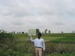 7972gt92a_cropland_rice_lategrouth.jpg