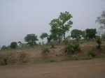 3888RIMG0192.JPG