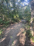 2020-09-25_09-20-28_ED2592F6-C017-4C0D-960A-B546E2B635C2.jpg
