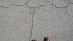 9703DSC01379.JPG