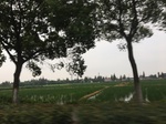2017-09-12_10-29-35_2E3E45E7-B497-4A26-903F-1FEB278243CB.jpg