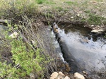 2018-05-27_14-20-10_795C2238-7B47-477E-9B8A-42B166B4D0E3.jpg