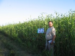 8010022-irri-sorgum-1a.jpg