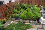 2012-09-19_14-56-40_NJ-MN-48-2.JPG