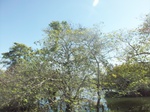 5828100_1484.JPG