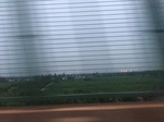 2017-09-12_13-38-36_5BF47BBA-9C23-48DA-9B8F-67FC68F45BF8.jpg