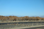 2022-01-21_16-33-55_4E8A6349.JPG