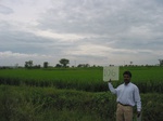 7904gt106b_cropland_rice.jpg