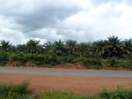 18484P1000320.JPG