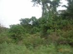 3715RIMG0018.JPG