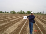41C3B-a_06-05-07_irr-SW-cotton-LS-Sc.JPG