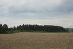 2018-04-14_13-37-07_2017-06-10 05.19.46.jpg