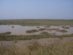 4656RIMG0080-2.JPG