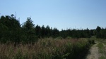 2016-07-25_03-45-00_DSCF1433.JPG