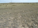39226KENT20110913E.JPG