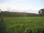 16018IMG_4748.JPG