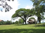 14234IMG_4574.JPG