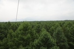2018-04-14_14-44-51_2017-06-26 21.04.24.jpg