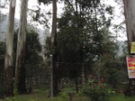 15027IMG_3840.JPG