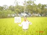 11275gt088-cropland-1.jpg