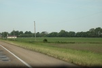 2022-06-11_15-46-20_BBDDADB9-6B3A-4E3D-9B08-758DA4C27EAE.jpeg
