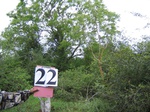 824923-forest-lowland-young-shrubs-denseb.jpg